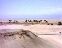 11-17-2025_website039003.jpg
